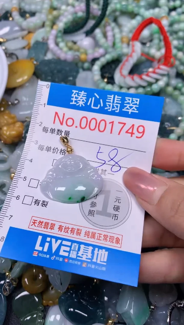 【闪购商品】翡翠颈饰未镶嵌含绳0001749