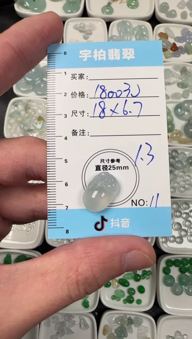 18K金镶嵌定制翡翠天然A货翡翠+钱袋子011