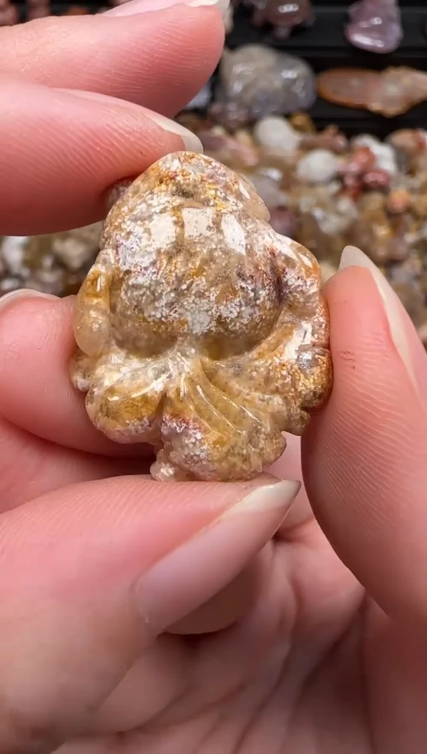 硅化珊瑚（珊瑚玉）未镶嵌颈饰316