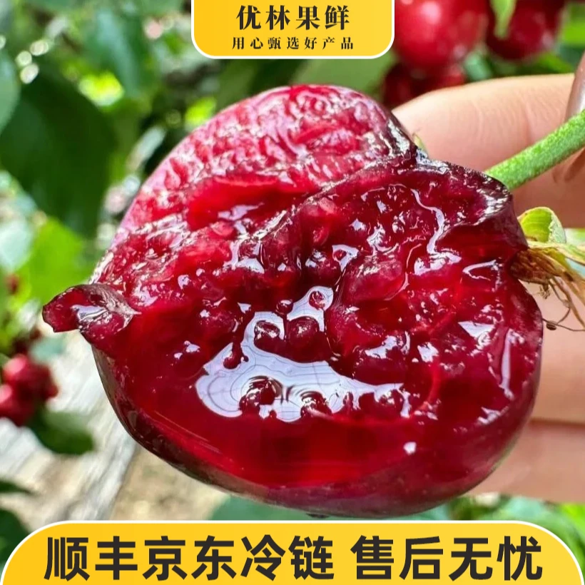 【5斤装】头茬美早大樱桃新鲜应季孕妇老人水果J-4J-2/5斤