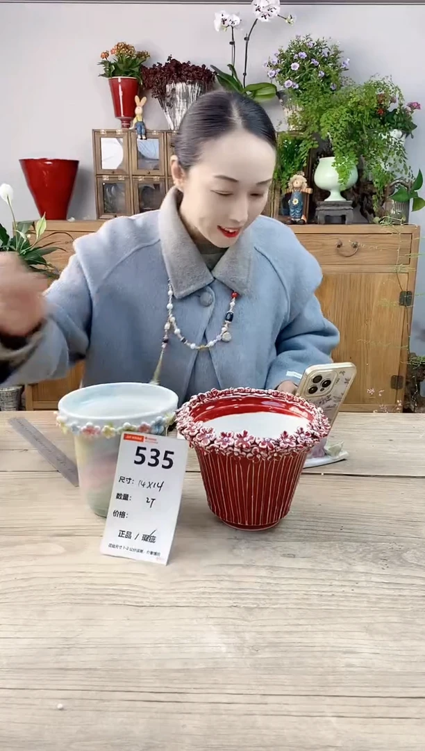 小玩子花盆直播编号535