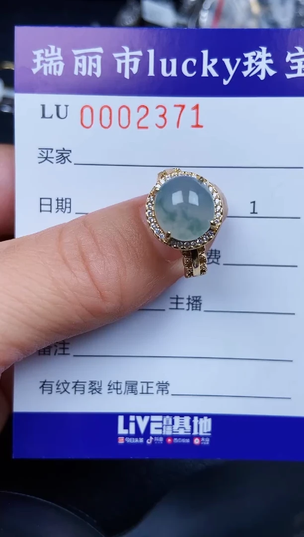 翡翠银S925镶嵌颈饰2371