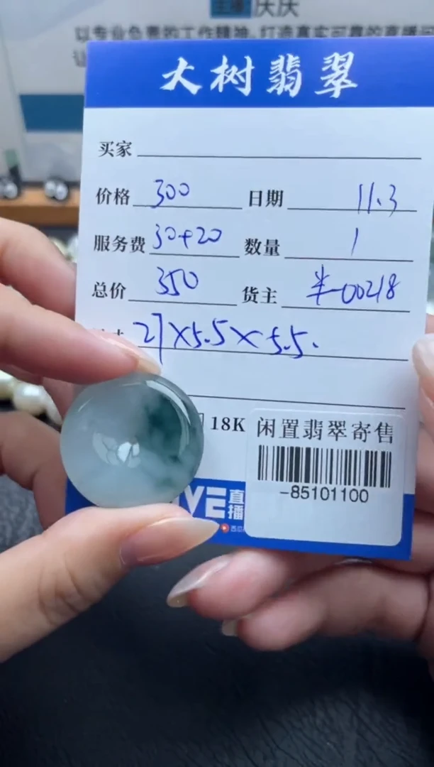 颈饰未镶嵌翡翠多人-85101100