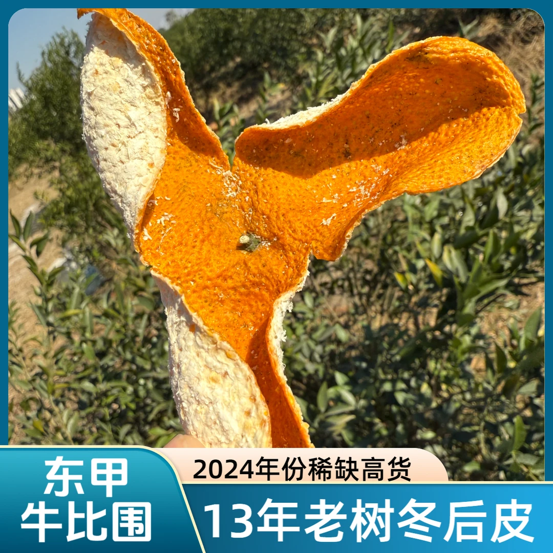 新会2024年东甲牛比围13年老树原枝冬后大红皮核心产区自产自销