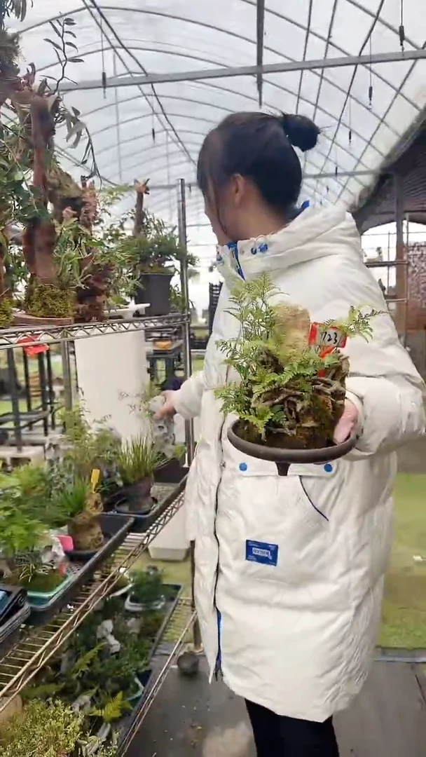 【闪购商品】723