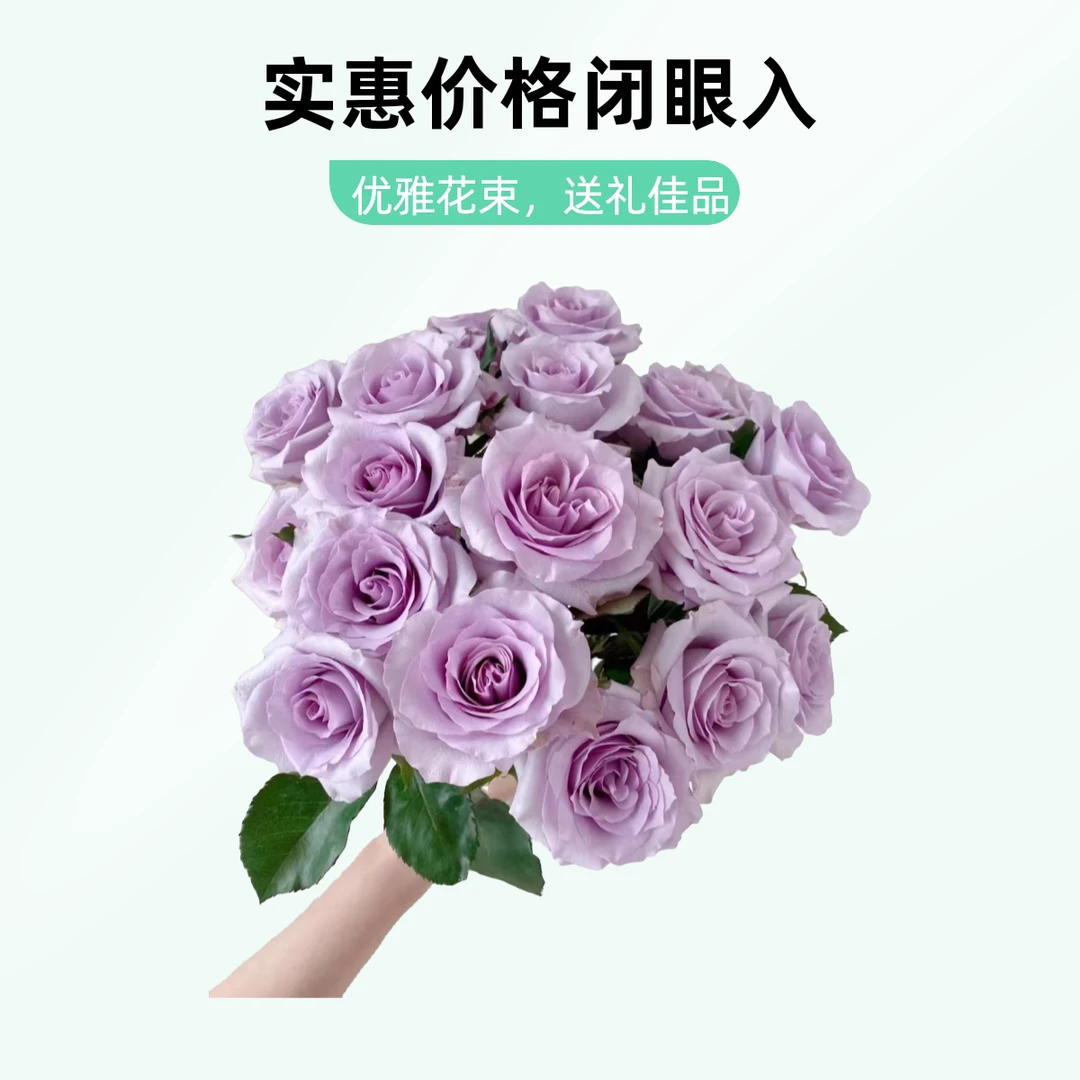 海洋之歌玫瑰10枝，江浙沪皖次日达