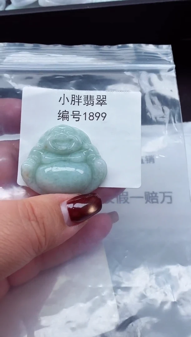 颈饰未镶嵌翡翠缅甸天然A货翡翠1899