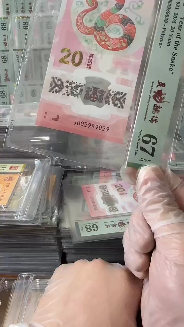 塑料002989029-蛇钞单张