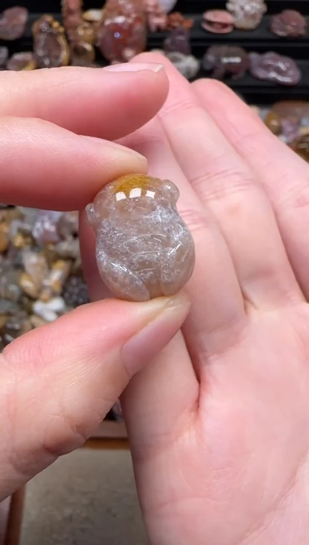 颈饰未镶嵌硅化珊瑚（珊瑚玉）275