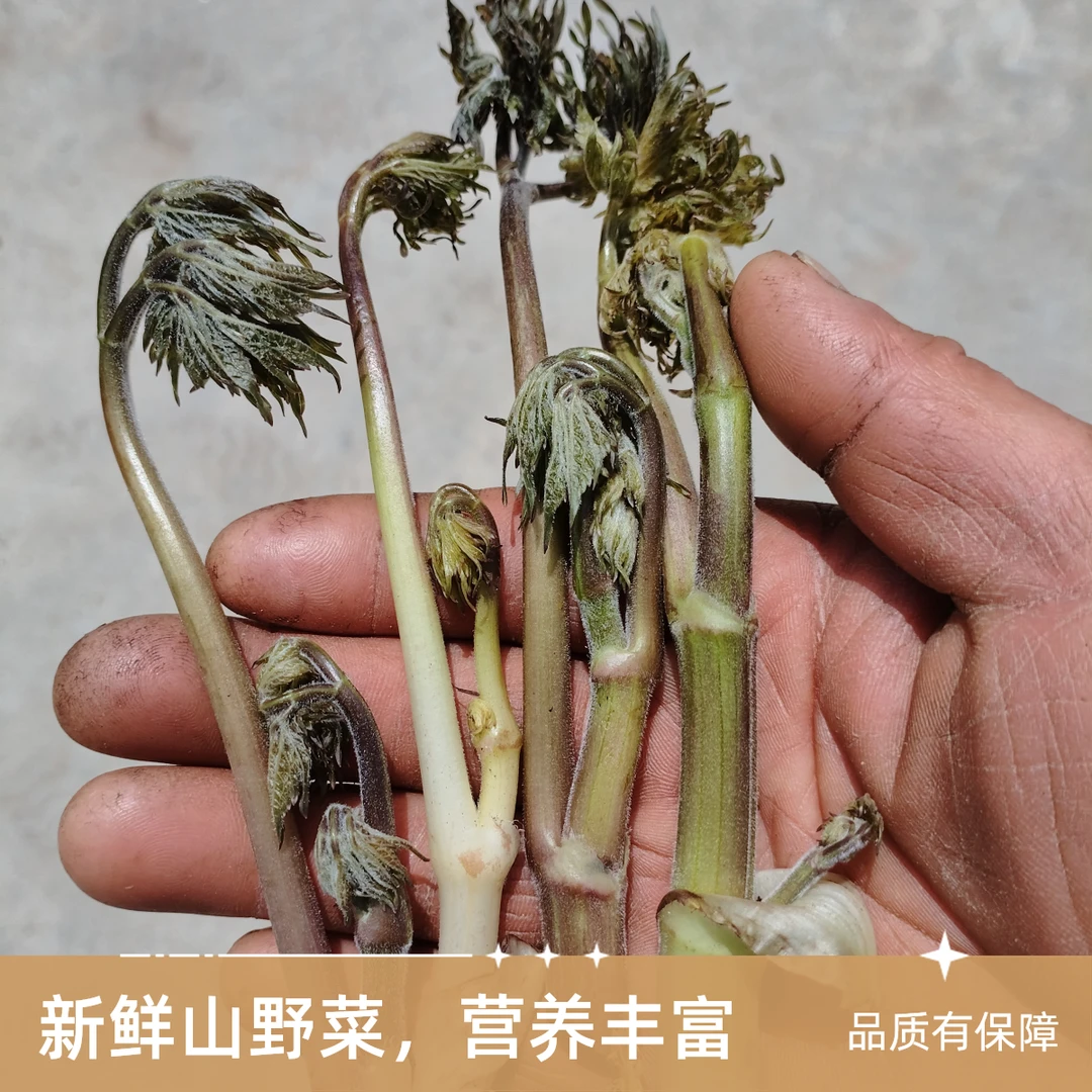 （焯水冻）围场野生苦力牙叶，来自大山的问候（野不支持退货）