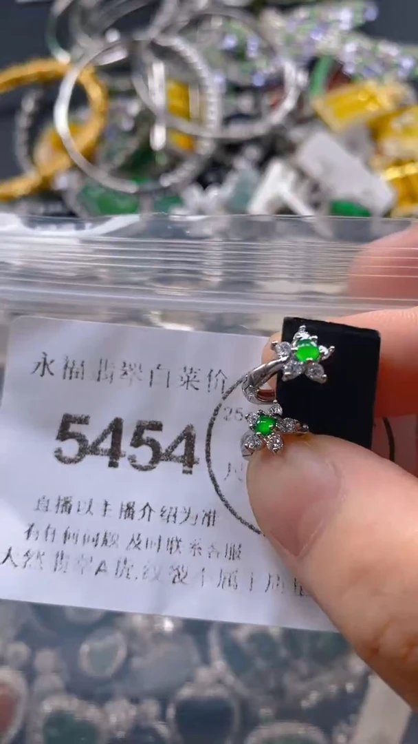 翡翠未镶嵌吊坠(不含链)5454.。。。。。