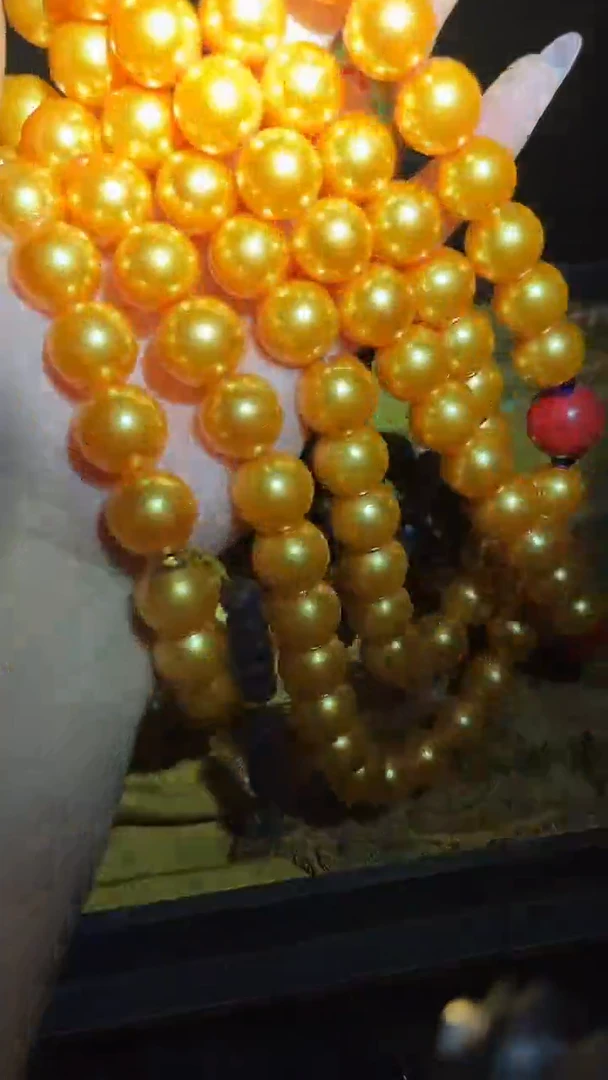 手串/手链贝壳长串.1条.黄.不带盒