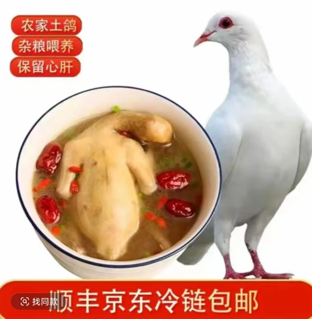 【顺丰包邮】新鲜现杀急冻锁鲜散养带头带脚带心肝4只生鲜鸽子