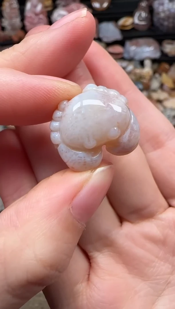 颈饰未镶嵌硅化珊瑚（珊瑚玉）779