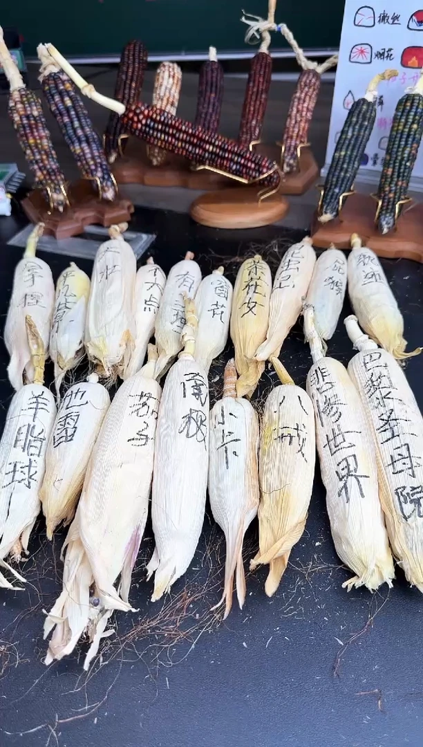 【闪购商品】哈哈哈哈哈哈哈哈哈哈