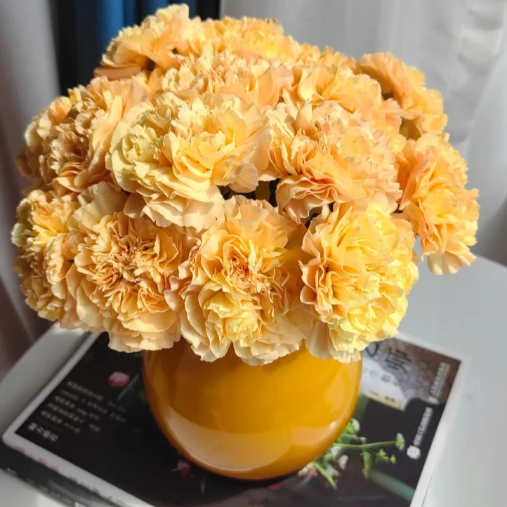 花满忆【蒙娜丽莎橙康乃馨】5枝康乃馨家居鲜花任意满两单顺丰包邮三单送花瓶今天拍明天到次日达