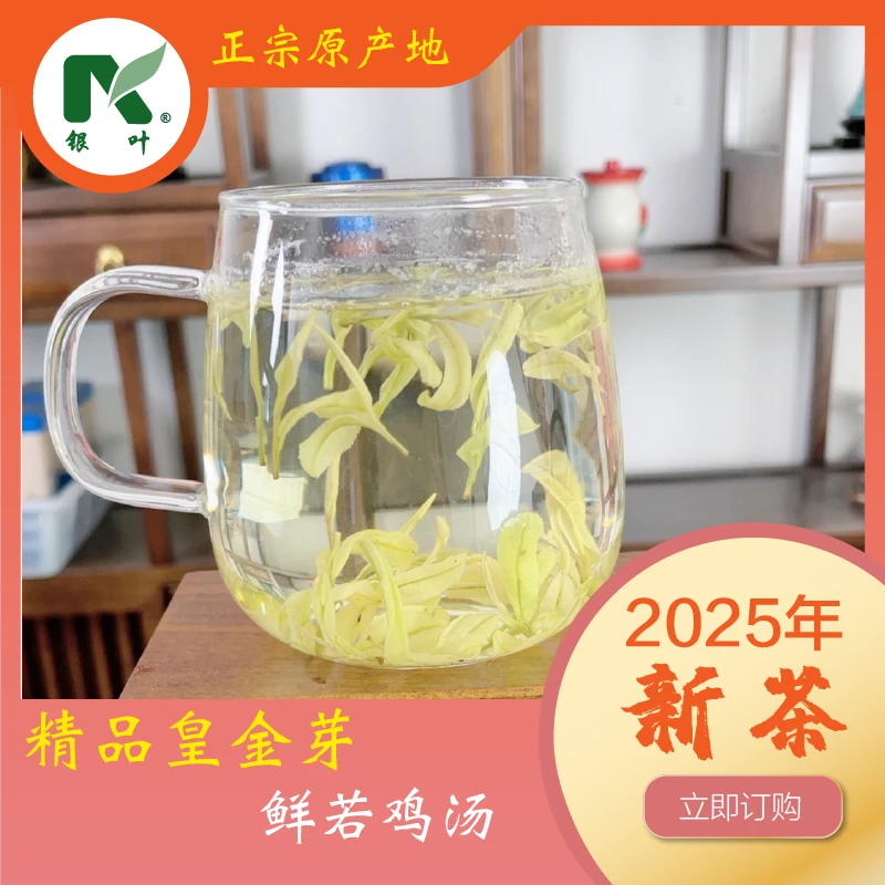 【 皇金芽 488 】正宗特级安吉产地白茶厂家白茶2025新茶叶