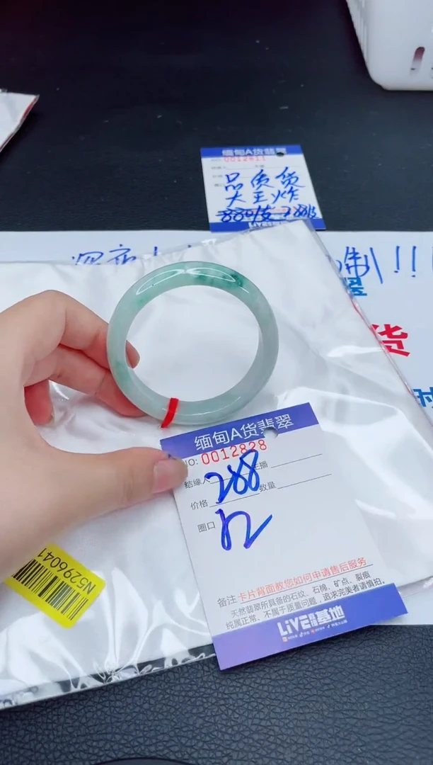 未镶嵌手镯翡翠我2