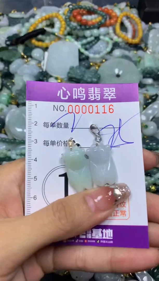 【闪购商品】翡翠颈饰未镶嵌闪购00116