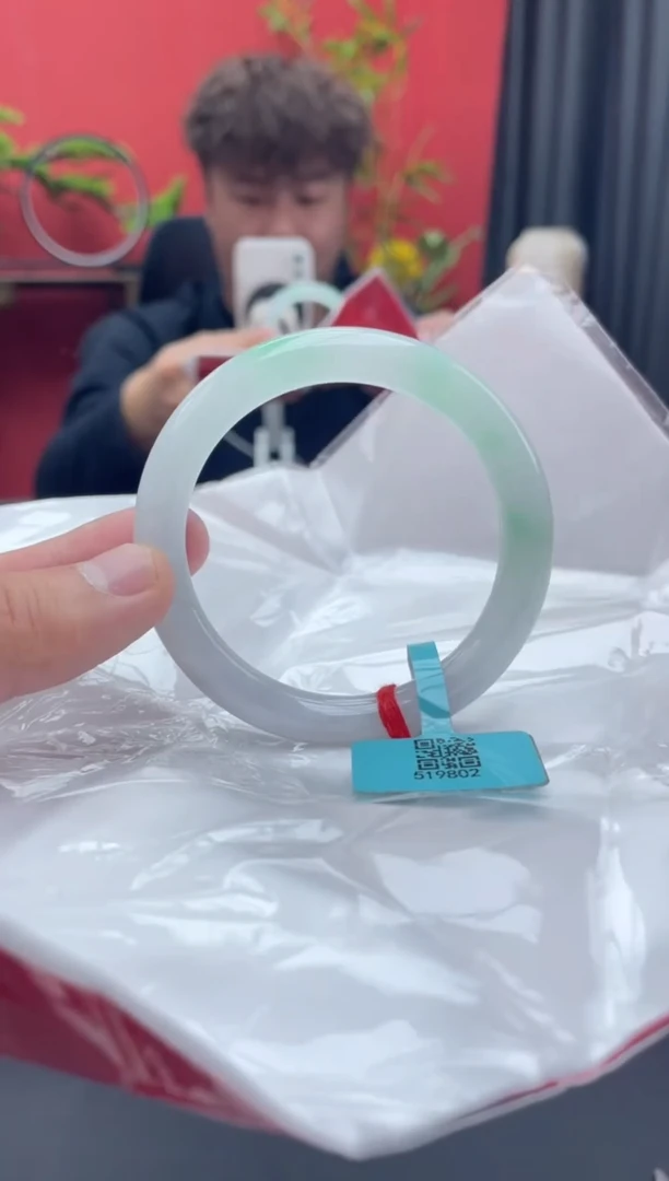 未镶嵌手镯翡翠7