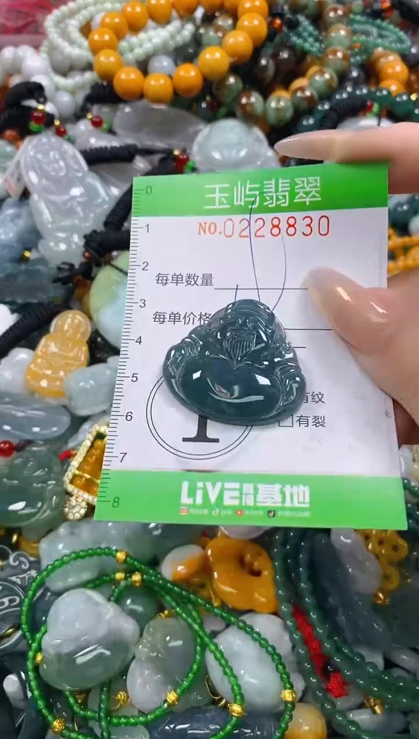 颈饰未镶嵌翡翠闪购0228830