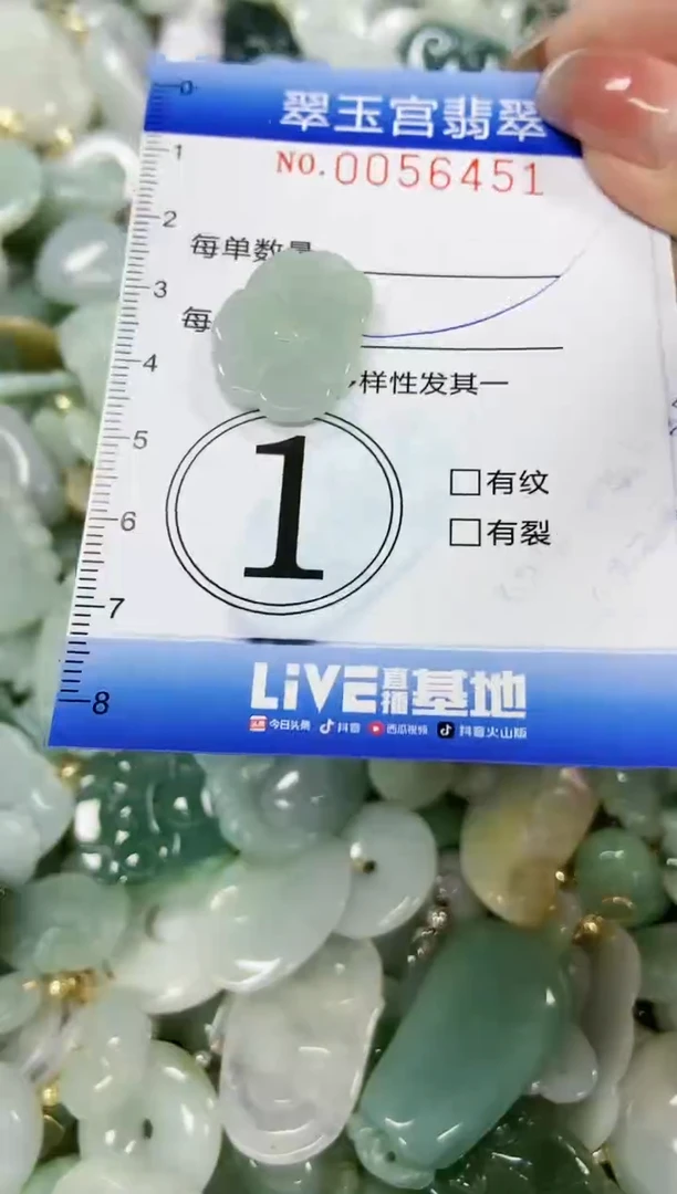 【闪购商品】翡翠颈饰未镶嵌闪购0056451