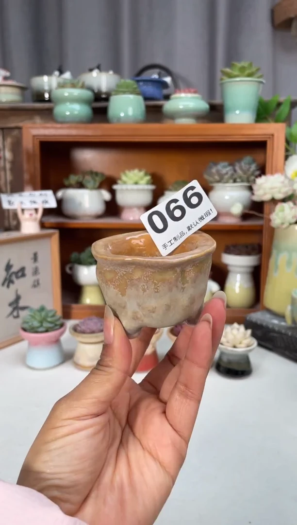 瓷片066知木小芳花盆