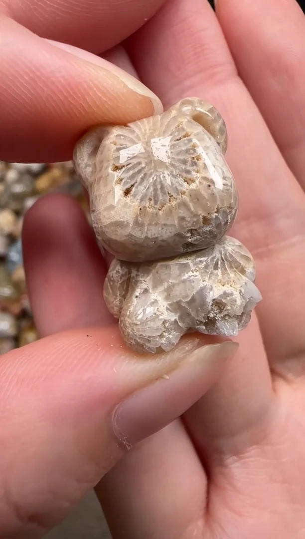 硅化珊瑚（珊瑚玉）未镶嵌颈饰423
