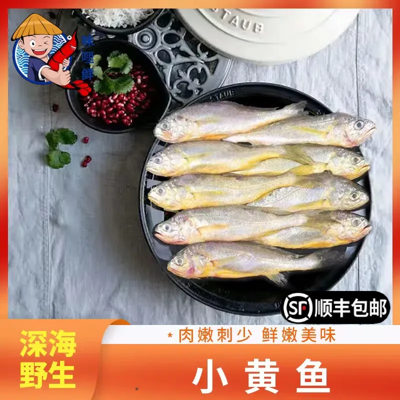 味哩鲜  东海捕捞肉质饱满深海小黄鱼3斤野生黄花鱼红烧美味风味