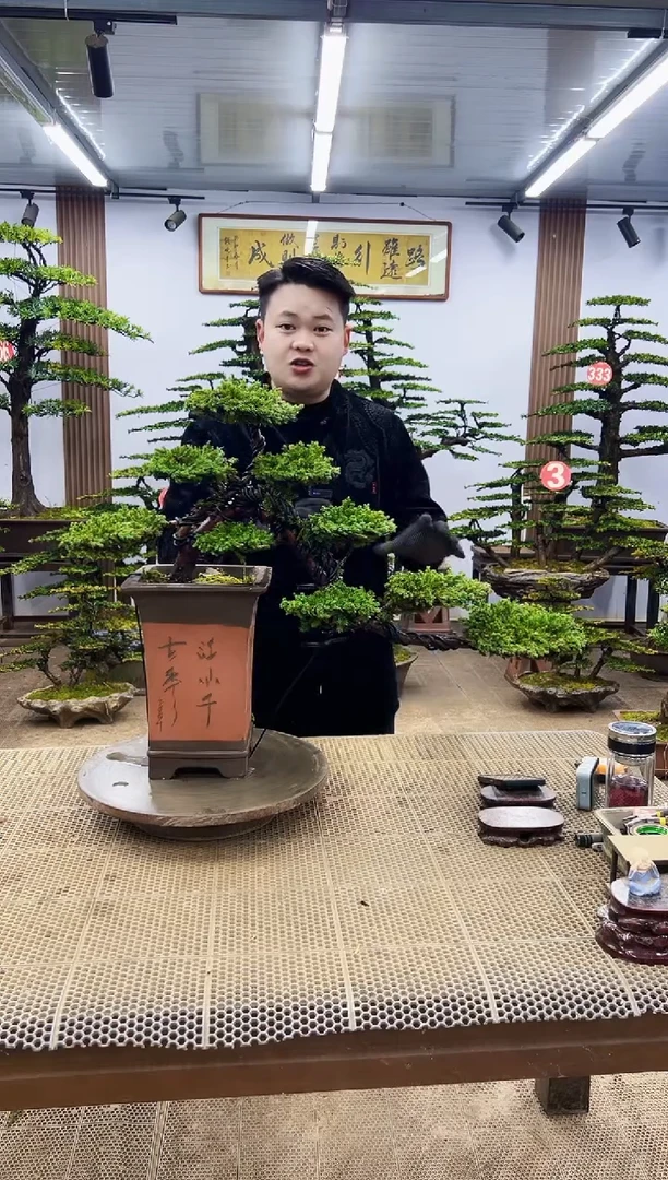 【闪购商品】000000000