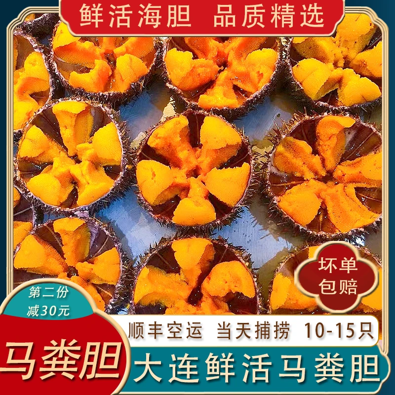 大连马粪海胆鲜活500g紫海胆刺身黄金海胆肉日料新鲜海鲜水饺炒饭