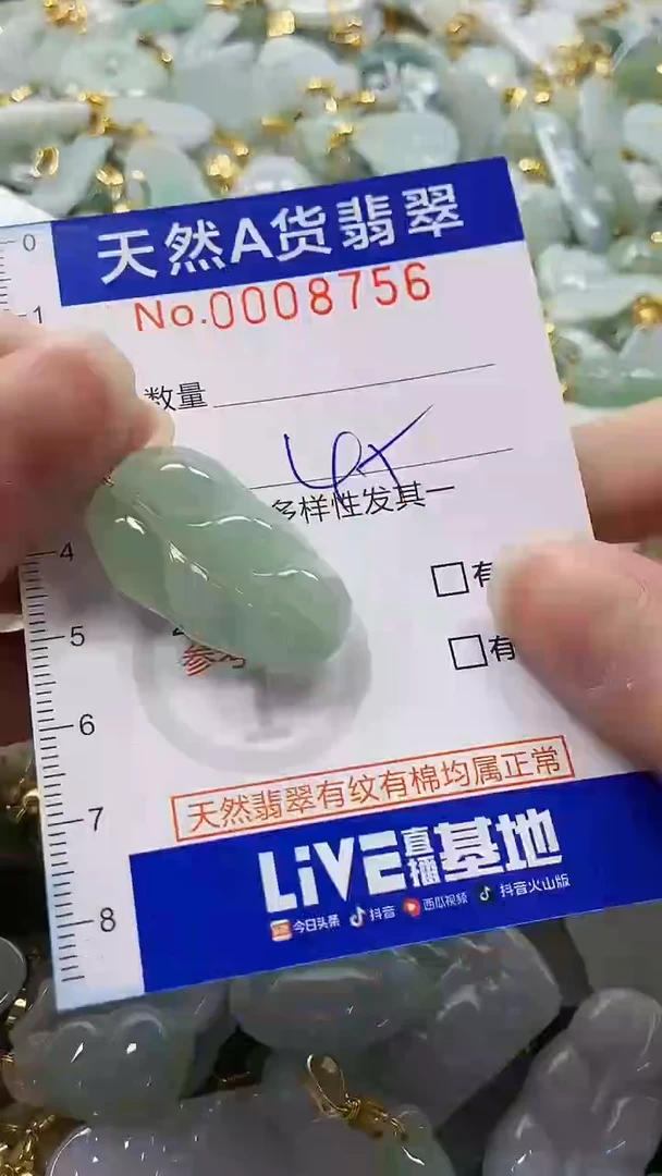 颈饰未镶嵌翡翠纯天然a货翡翠