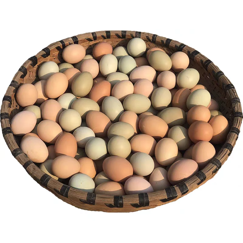 【土鸡蛋】云南海拔1800米山地鸡散养正宗新鲜农家土鸡蛋