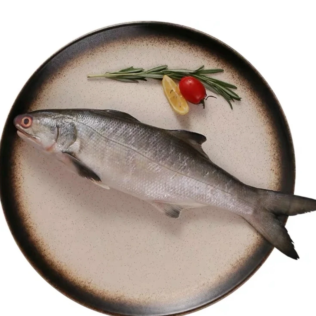 午鱼 鲜冻发货 次日达 顺丰快递 厦门发货  2000g