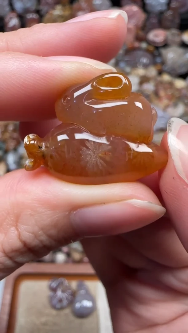 颈饰未镶嵌硅化珊瑚（珊瑚玉）838