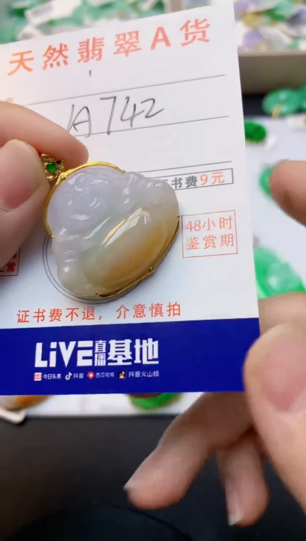颈饰18K金镶嵌翡翠天然缅甸A货翡翠百元以上9元证书费自理