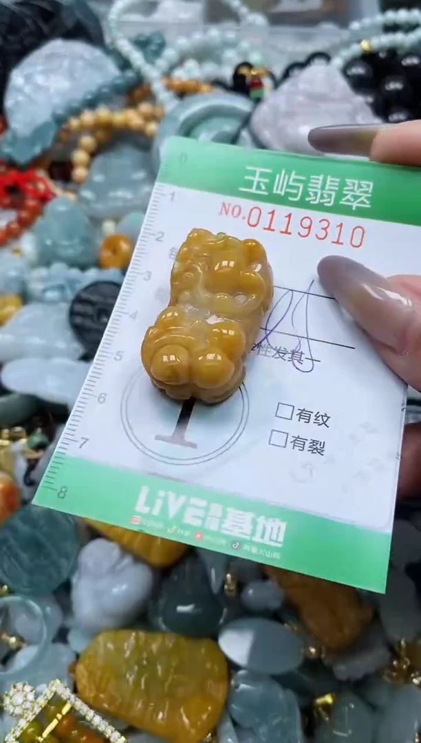 翡翠未镶嵌颈饰闪购0119310