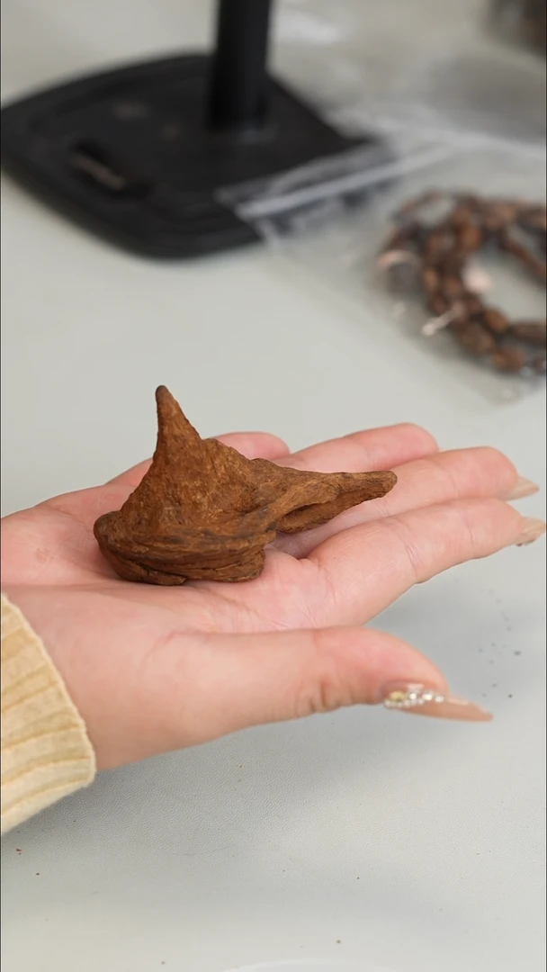 沉香沉香碎屑富森红土沉水料15.1克