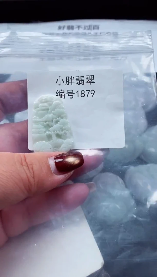 颈饰未镶嵌翡翠缅甸天然A货翡翠1879