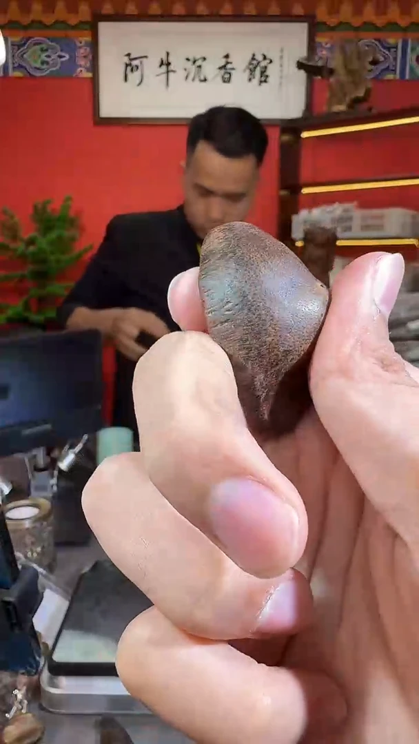沉香吊坠207号11克多样性发一