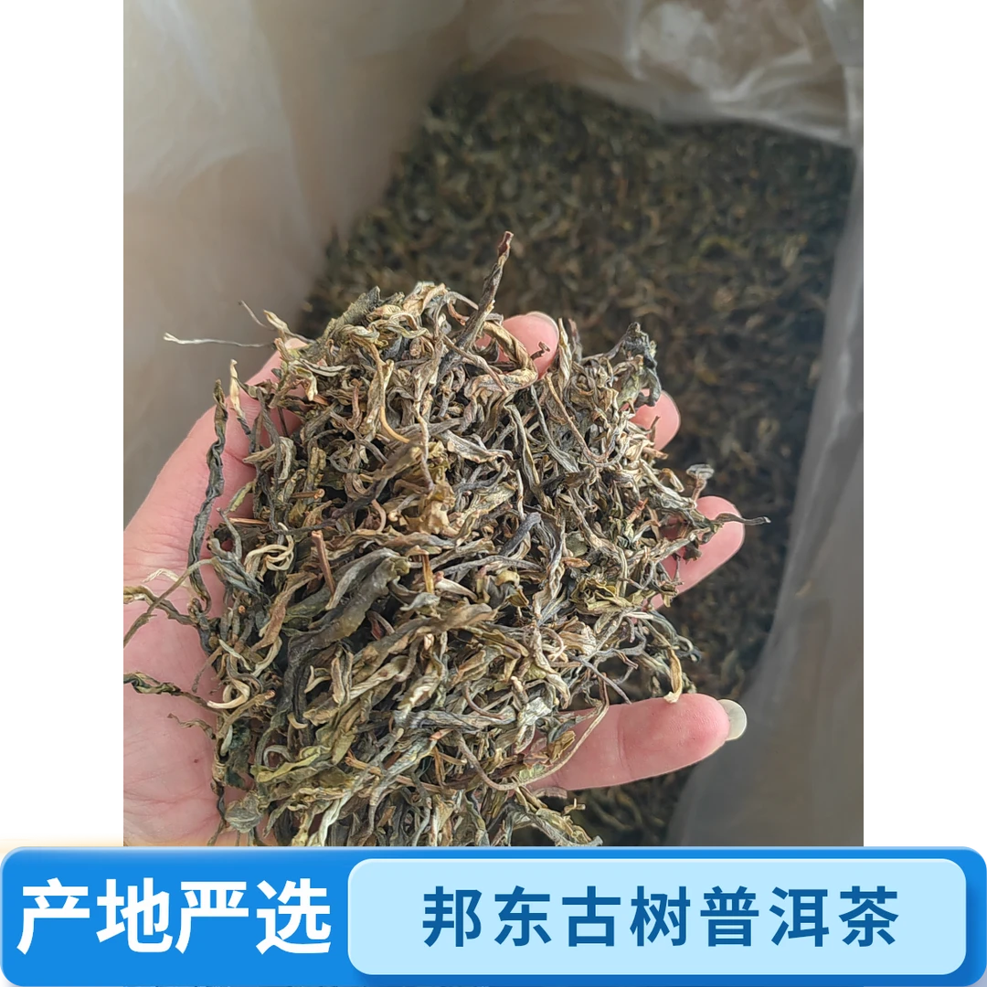 普洱茶邦东古树生茶