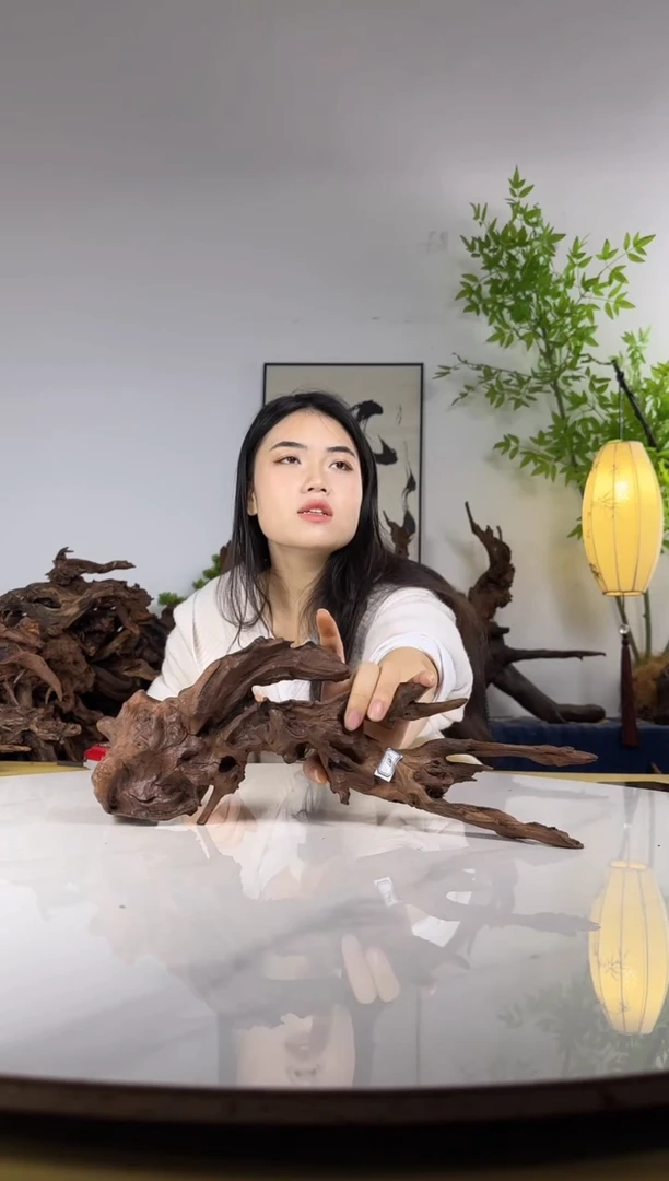 遂*拍沉木定向链接编号6