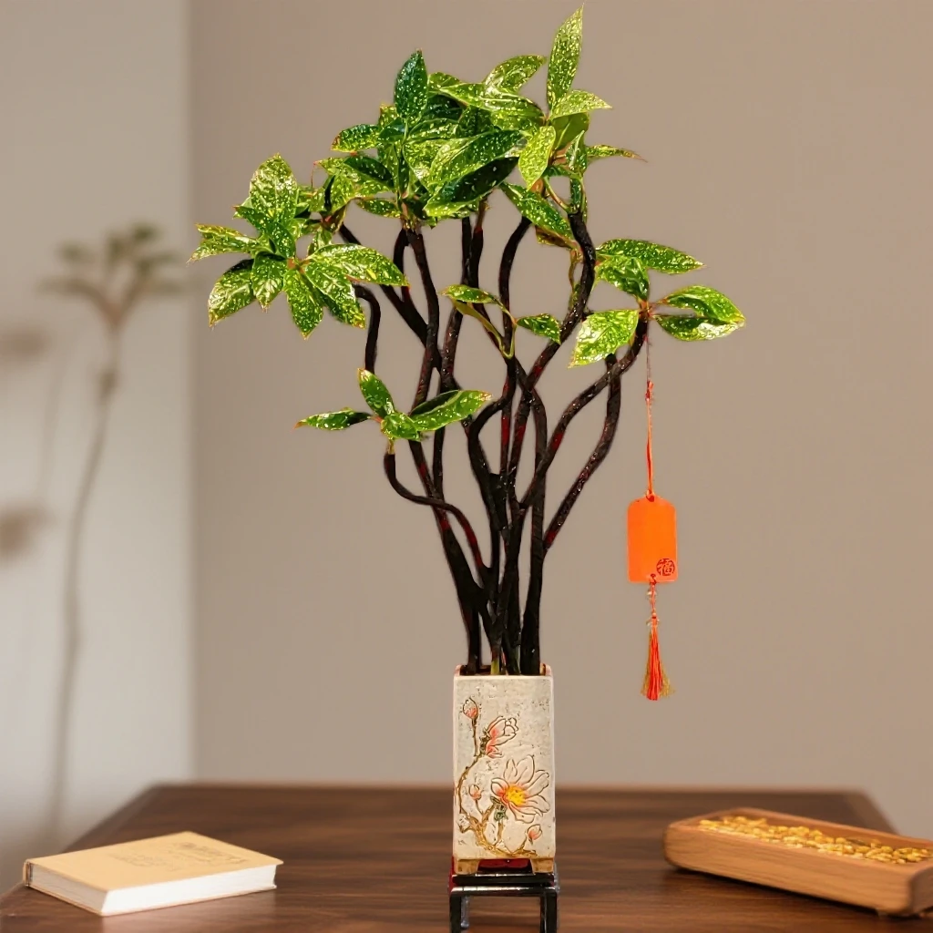 室内造型绿植  禅意绿植 宋式美学风