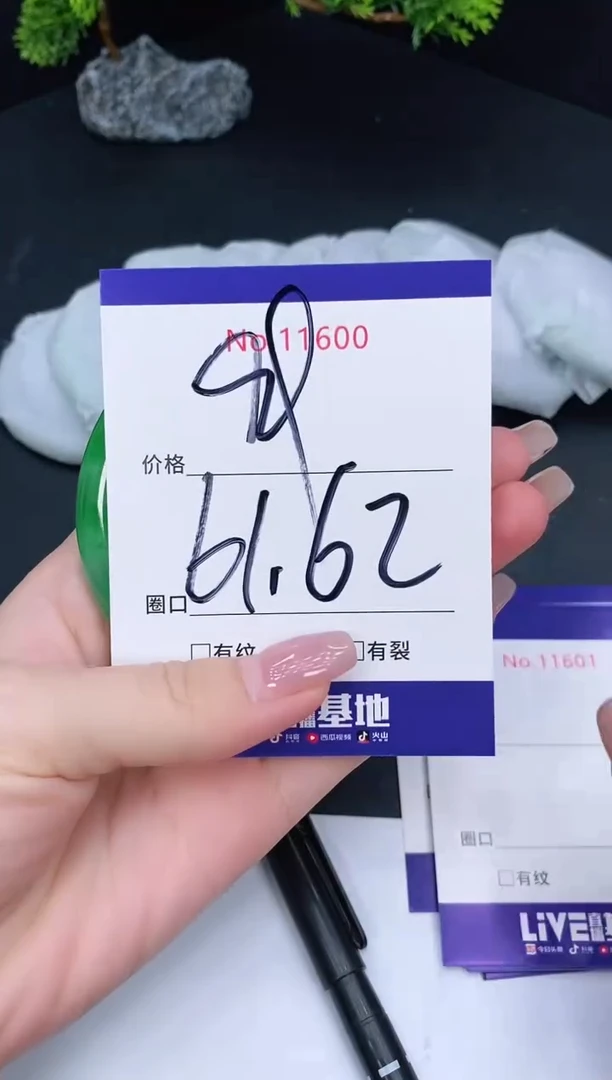 未镶嵌手镯翡翠11600