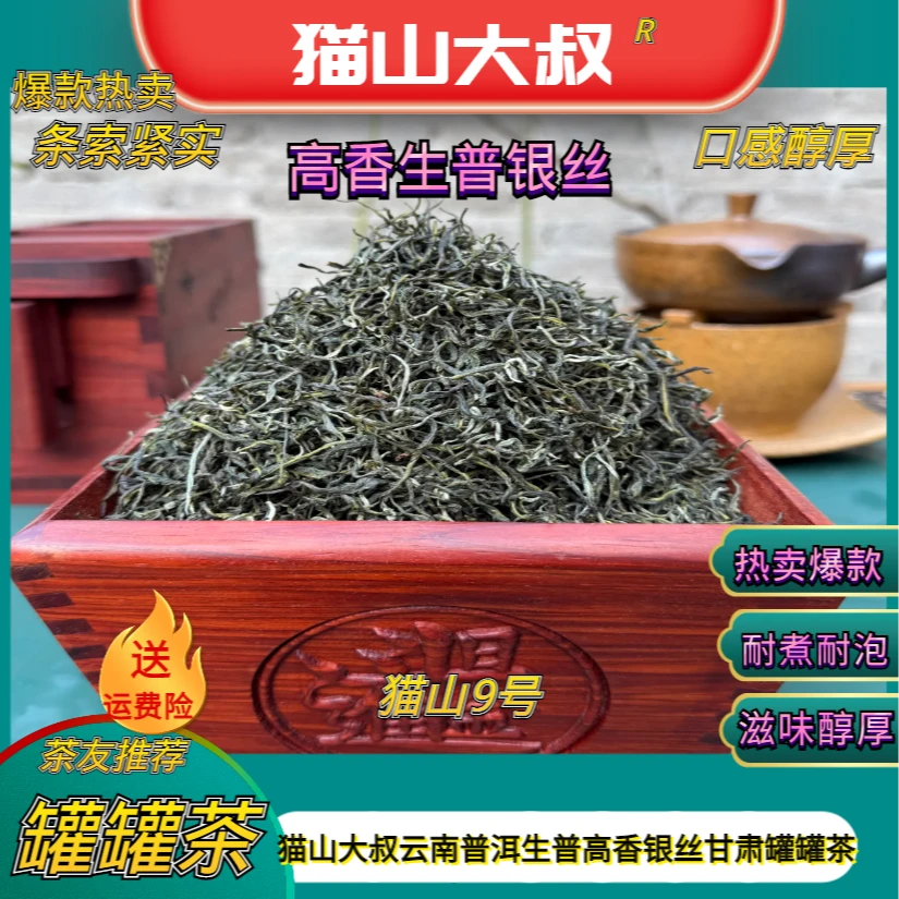 【猫山9号】2025新茶云南普洱生普十号高香银丝兰州天水甘肃罐罐茶