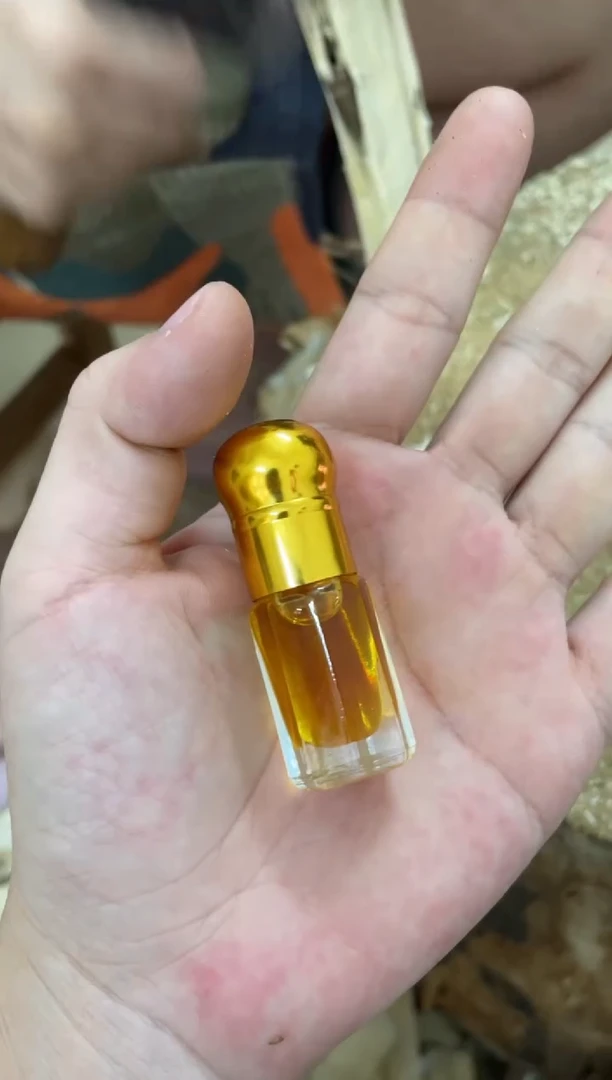 沉香沉香精油棋楠沉香 原料文创 多样性发货1份块料