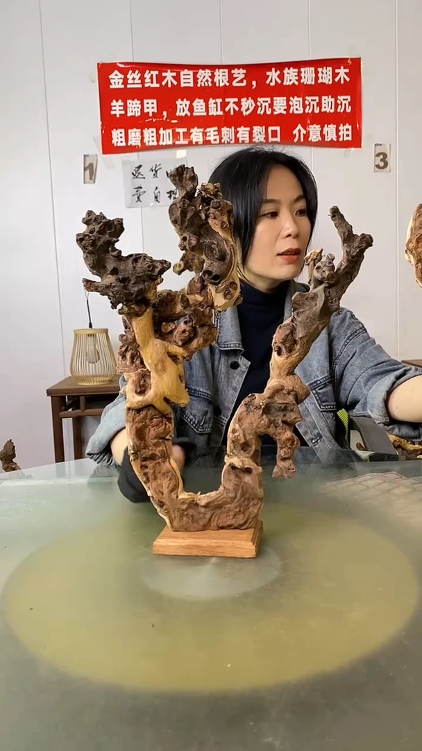 木难**见金丝红木 羊蹄甲