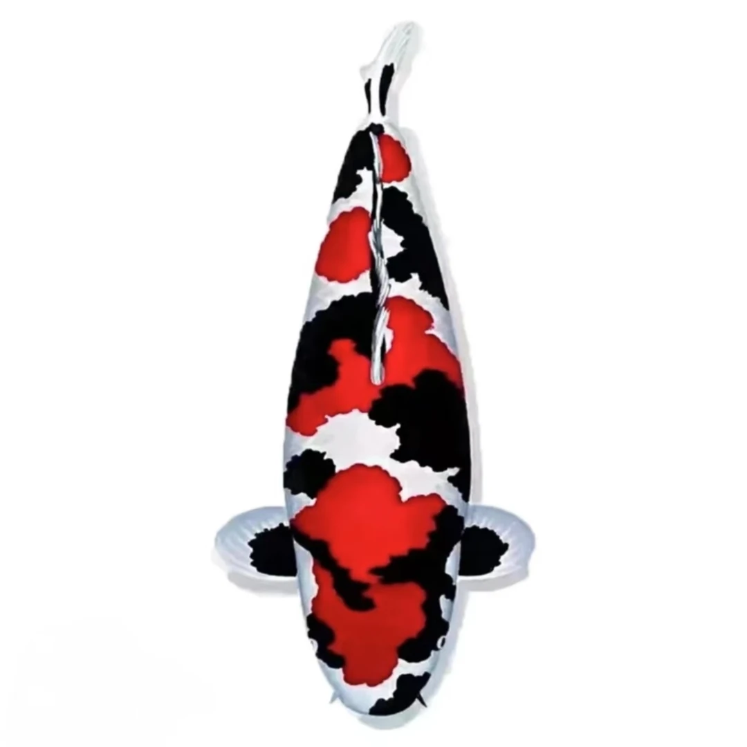 观赏鱼链接 百鲤  直播间专属  一鱼一拍