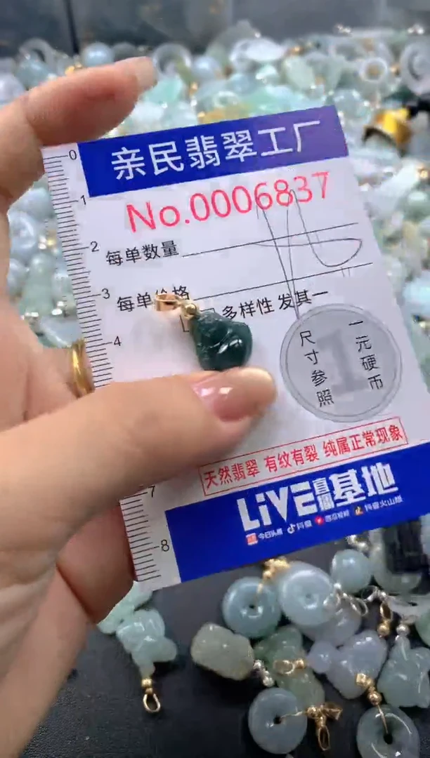 颈饰未镶嵌翡翠6837