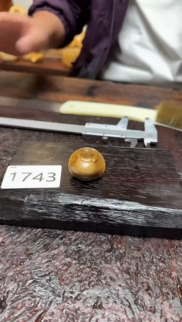 竹1743竹竹竹竹竹竹竹